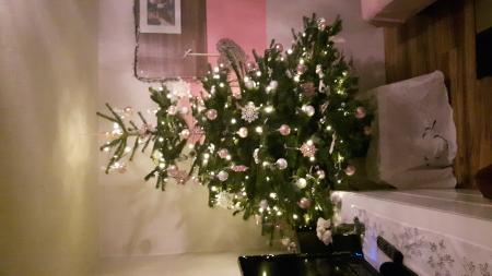 Bild zu 