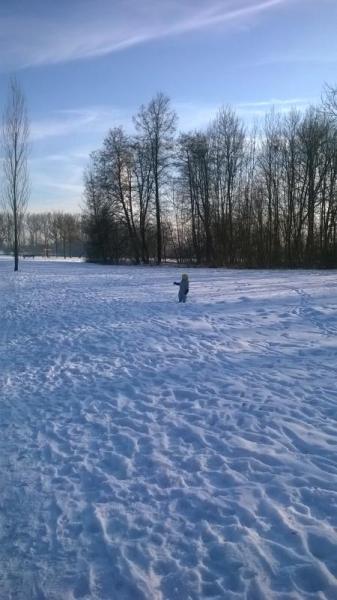 Bild zu 