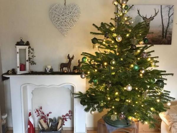 Bild zu ERSTE!!!! - Weihnachten