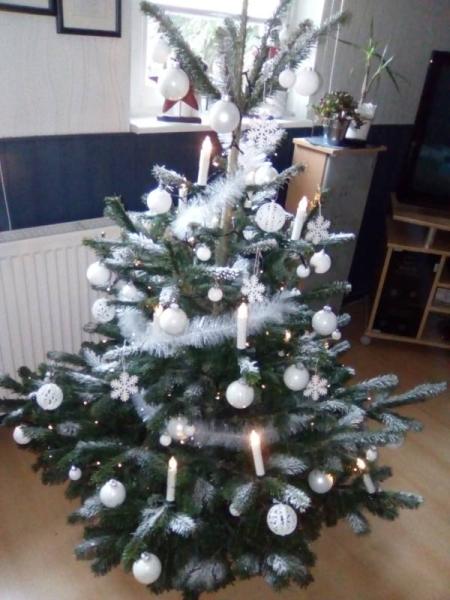 Bild zu Auch schon ein Tannenbaum - Weihnachten