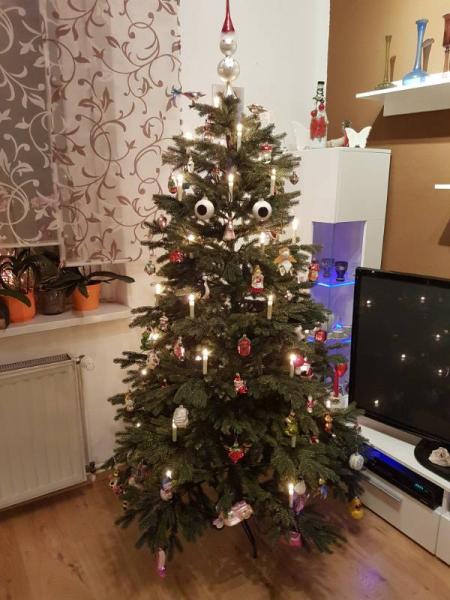 Bild zu Unser Baum - Weihnachten
