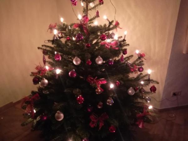 Bild zu Unser Baum - Weihnachten