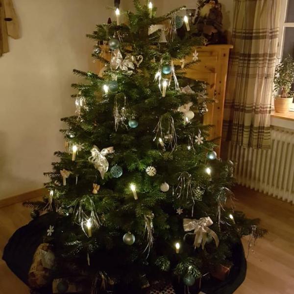 Bild zu Unser Baum - Weihnachten