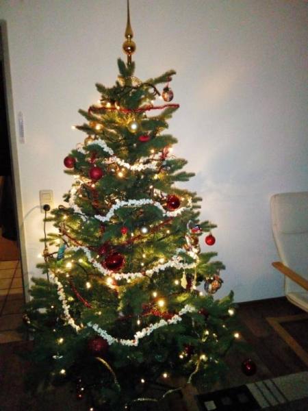 Bild zu Jetzt steht unser Baum auch endlich! - Weihnachten