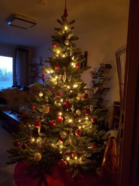 Bild zu Toll! Das freut mich, - Weihnachten