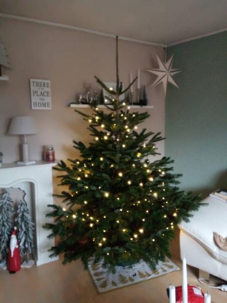 Bild zu Unser Bäumchen steht schon - Weihnachten