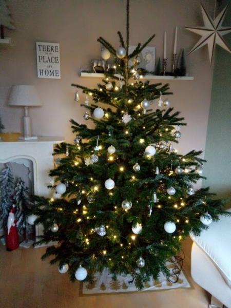 Bild zu Unser Baum im Festkleid - Weihnachten