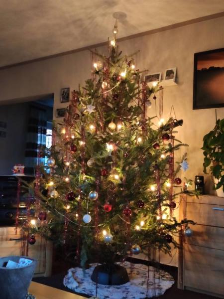 Bild zu Zeigt her eure Weihnachtsbäume 🎄 - Weihnachten