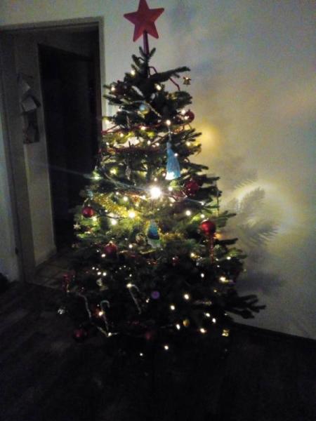 Bild zu