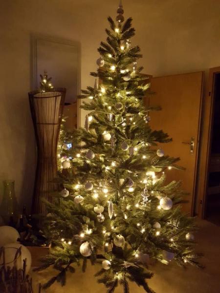 Bild zu Jetzt freue ich mich auch auf Weihnachten! - Weihnachten