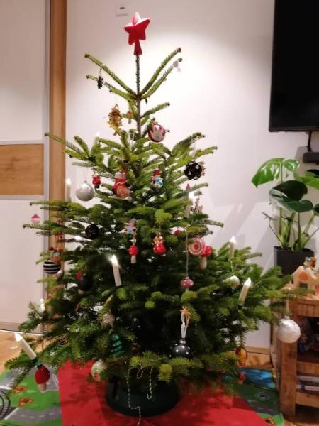 Bild zu
