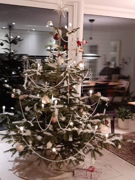 Bild zu