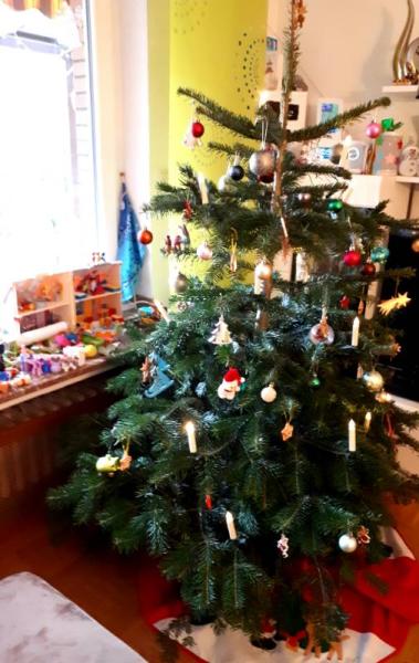 Bild zu