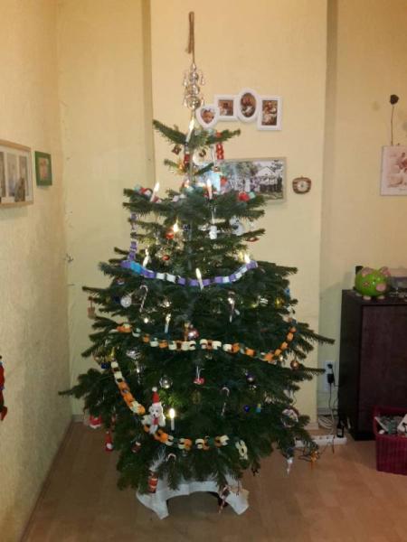 Bild zu 