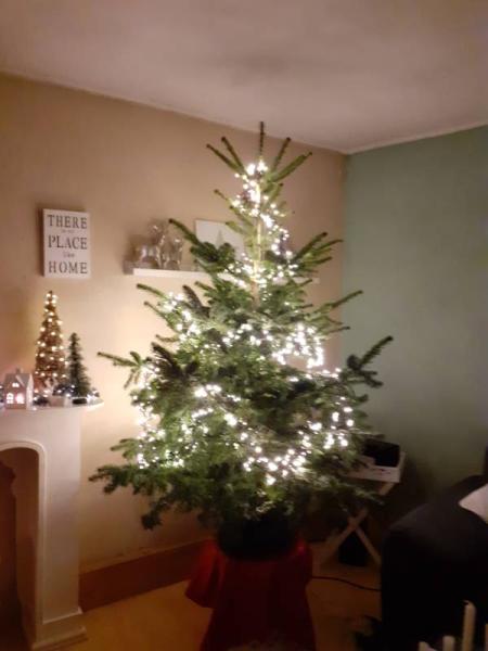 Bild zu 2020 ist einfach alles anders - Weihnachten