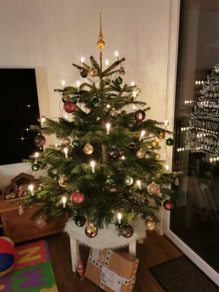 Bild zu