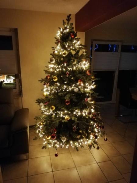 Bild zu