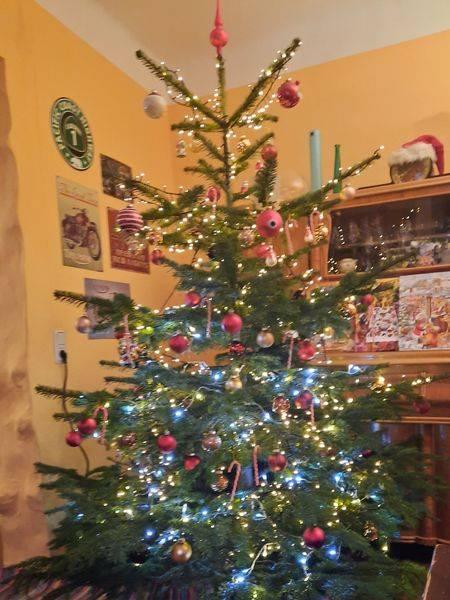 Bild zu