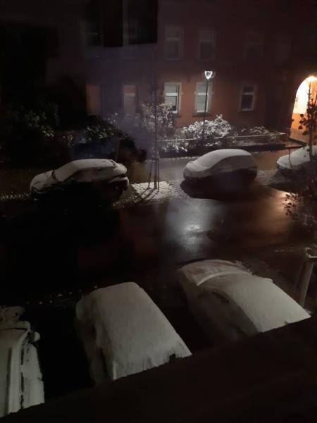 Bild zu Erster Schnee❄ - Weihnachten