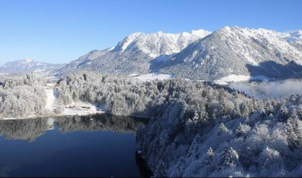 Bild zu