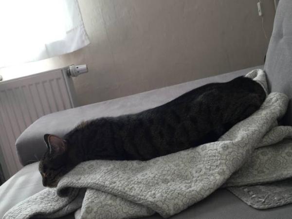 Bild zu