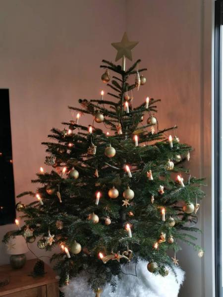 Bild zu