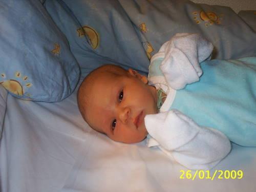 Bild zu 