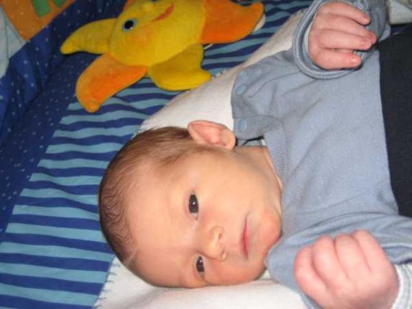 Bild zu