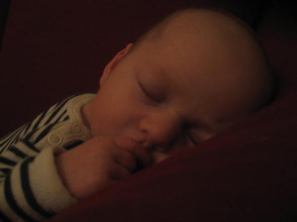 Bild zu 
