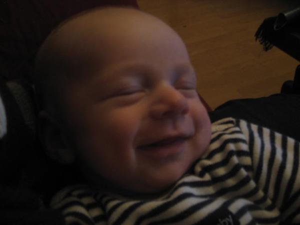 Bild zu 