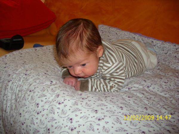 Bild zu