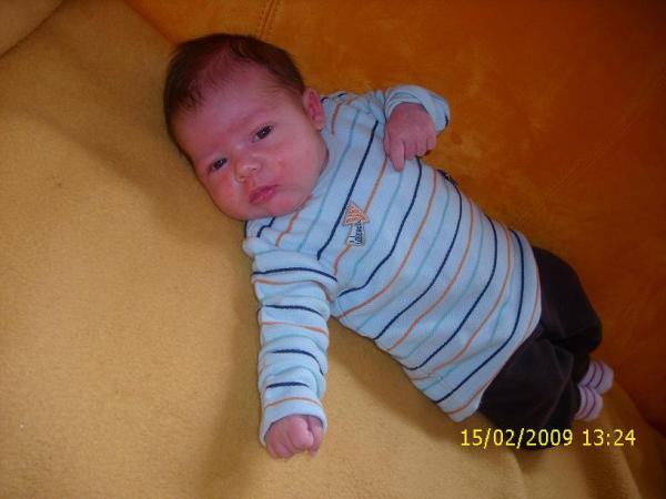 Bild zu 