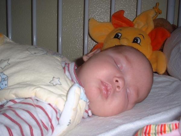 Bild zu 