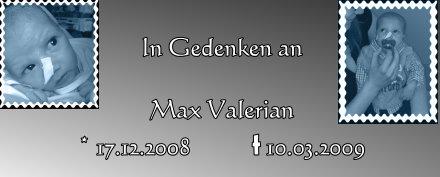 Bild zu In Gedenken an Max Valerian - Forum für Januar - Mamis