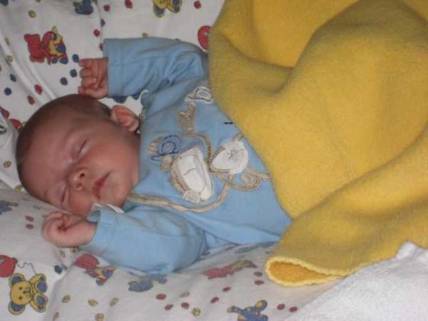 Bild zu