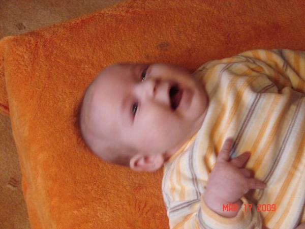 Bild zu 