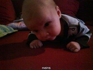 Bild zu 