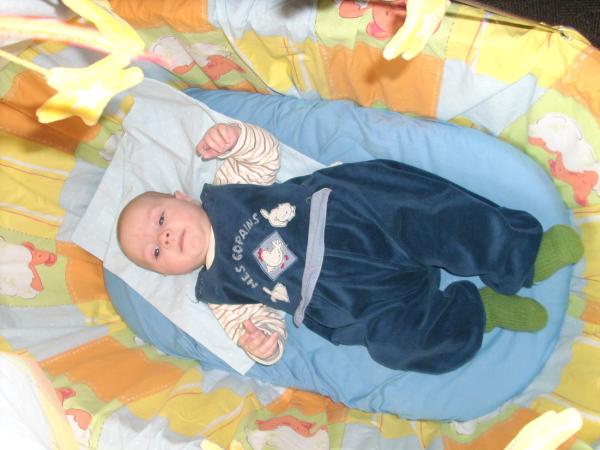 Bild zu 