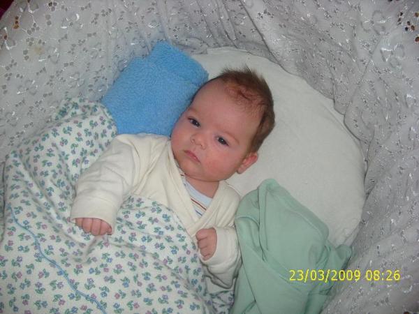 Bild zu 