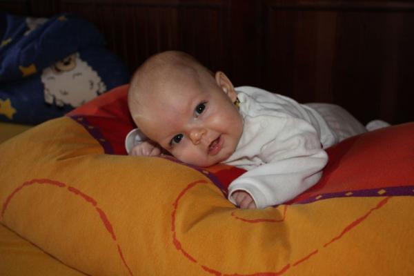 Bild zu 