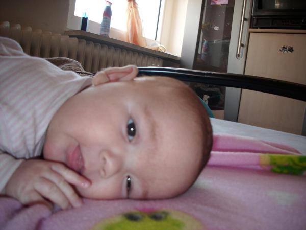 Bild zu