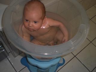 Bild zu