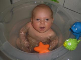 Bild zu