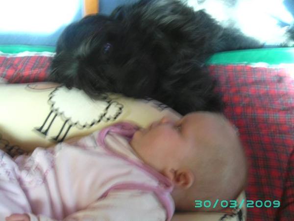 Bild zu