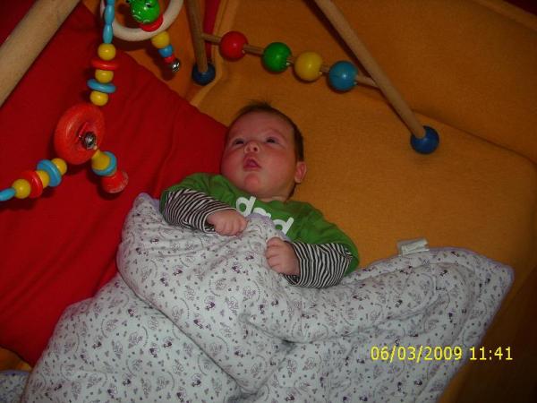Bild zu
