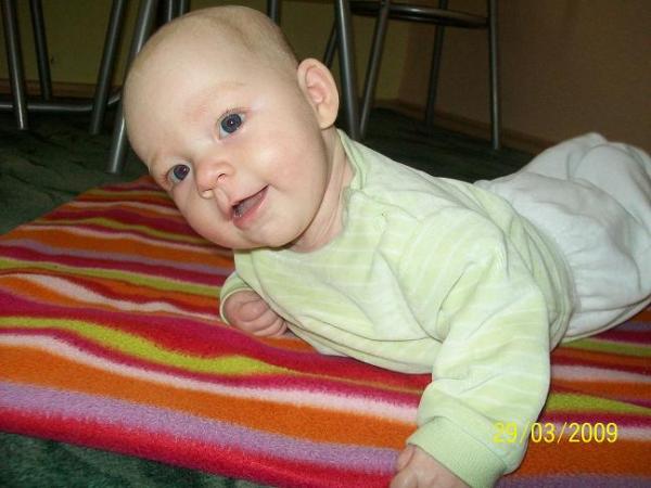 Bild zu