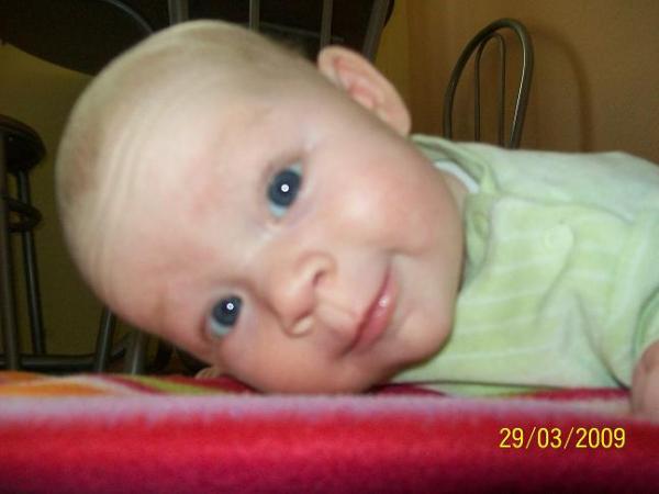 Bild zu