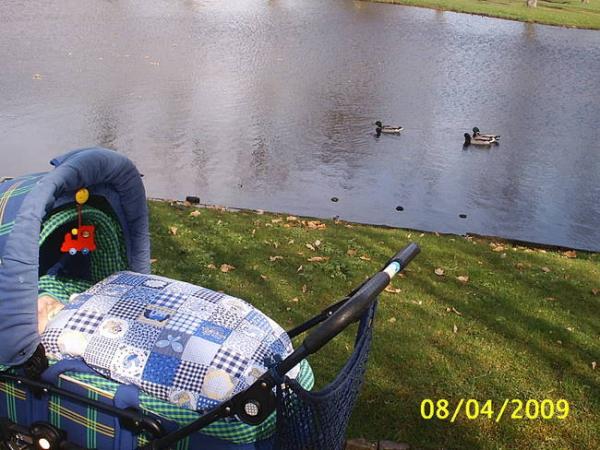 Bild zu 