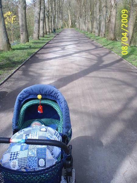 Bild zu 