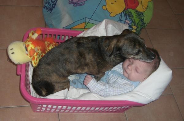 Bild zu schaut mal - Forum für Januar - Mamis